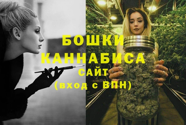 PSILOCYBIN Нефтегорск
