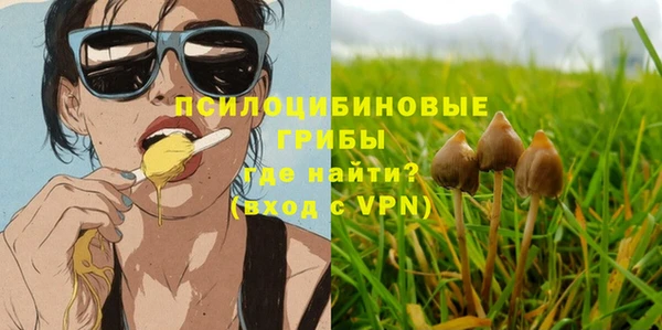 mix Надым