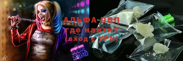 МДПВ Нея