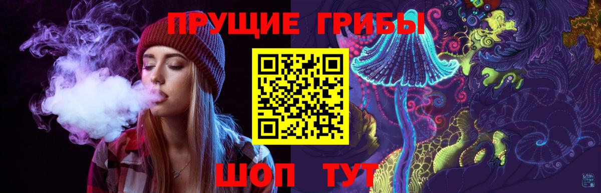 Псилоцибиновые грибы ЛСД  Вход с VPN  Новодвинск  Галлюциногенные грибы Psilocybine cubensis 